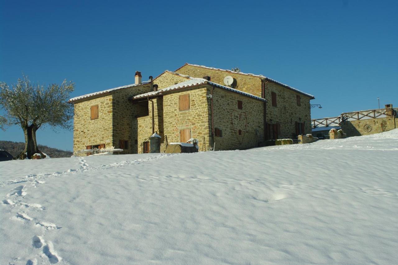 Agriturismo D'Ambiano Arezzo Bagian luar foto